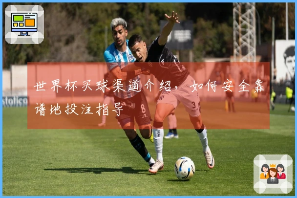 世界杯买球渠道介绍，如何安全靠谱地投注指导
