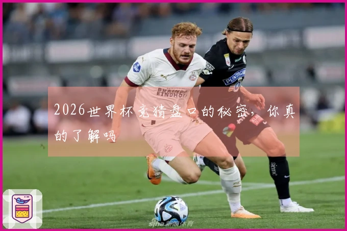 2026世界杯竞猜盘口的秘密，你真的了解吗