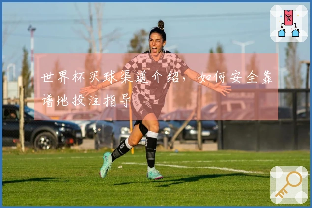 世界杯买球渠道介绍，如何安全靠谱地投注指导