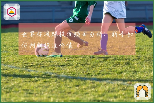 世界杯滚球投注赔率分析：新手如何判断投注价值