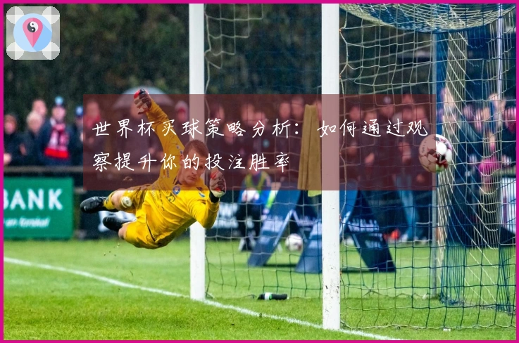 世界杯买球策略分析：如何通过观察提升你的投注胜率
