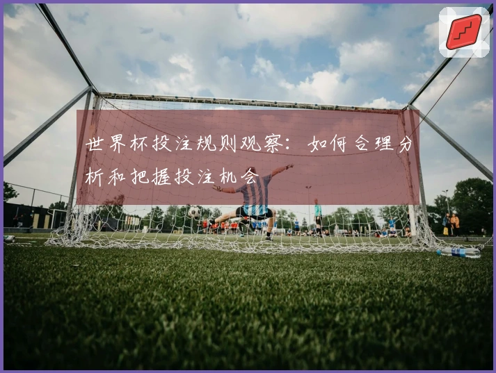 世界杯投注规则观察：如何合理分析和把握投注机会