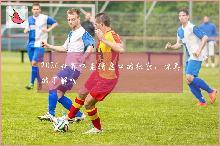 2026世界杯竞猜盘口的秘密，你真的了解吗