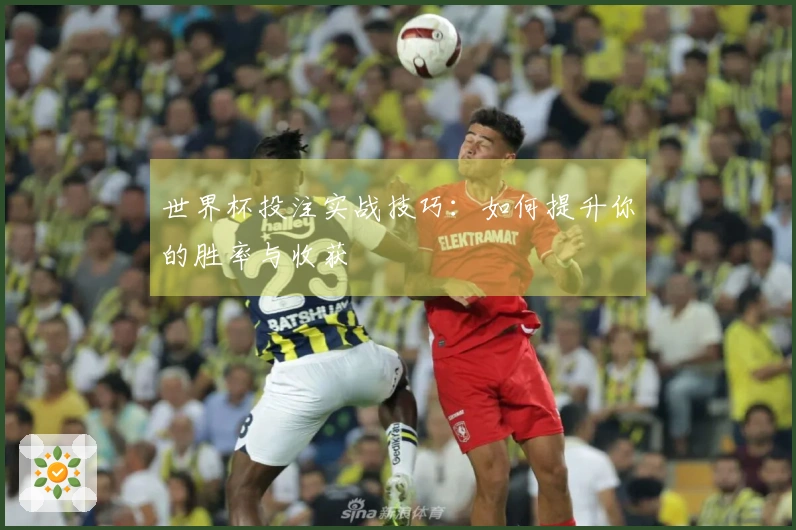 世界杯投注实战技巧：如何提升你的胜率与收获