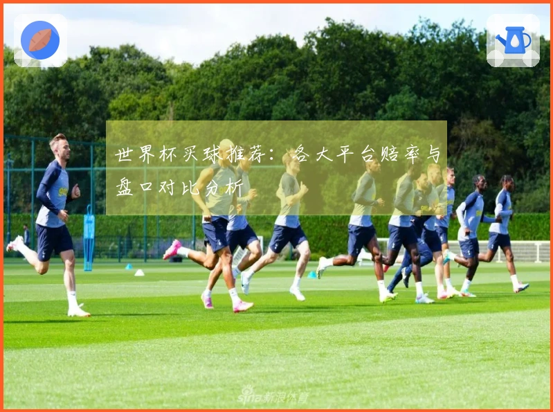 世界杯买球推荐：各大平台赔率与盘口对比分析