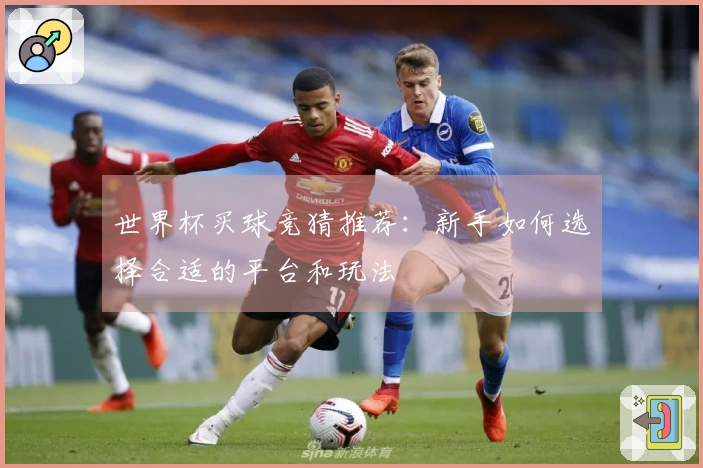 世界杯买球竞猜推荐：新手如何选择合适的平台和玩法