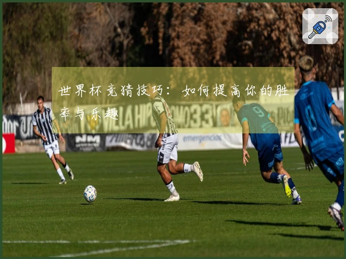 世界杯竞猜技巧：如何提高你的胜率与乐趣