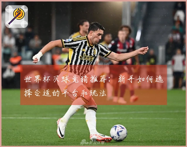 世界杯买球竞猜推荐：新手如何选择合适的平台和玩法