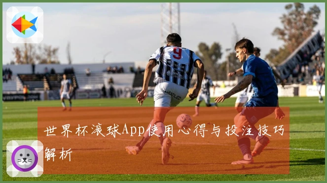 世界杯滚球App使用心得与投注技巧解析