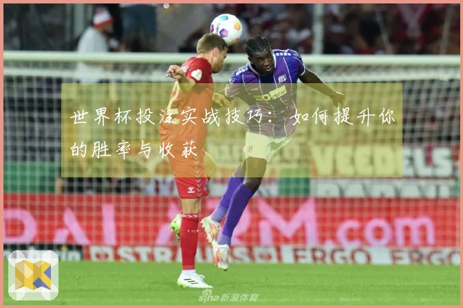世界杯投注实战技巧：如何提升你的胜率与收获