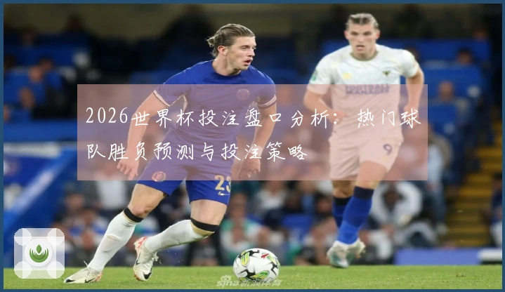 2026世界杯投注盘口分析：热门球队胜负预测与投注策略