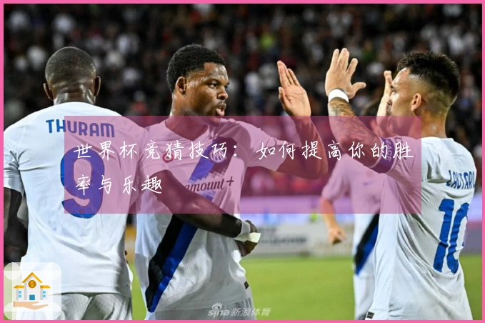 世界杯竞猜技巧：如何提高你的胜率与乐趣